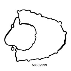 JUNTA PLANA MOTOR ASBO 500382999