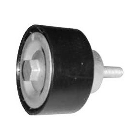 POLEA ALTERNADOR TECTOR AM 504065877