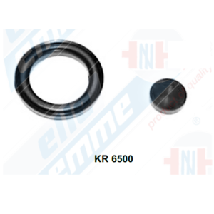 KIT REP. REDUCTOR PRESION KR 6500