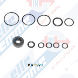KIT REP. FRENO A MANO KR 6920