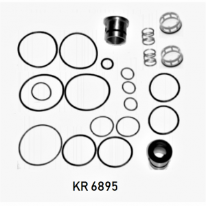 KIT VALVULA DUPLEX KNORR DX75 95B KR6895