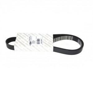 CORREA 50C16/NEW DAILY 5802102048